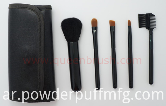 Free Sample 5PCS Black Nylon Cosmetic Brush Set